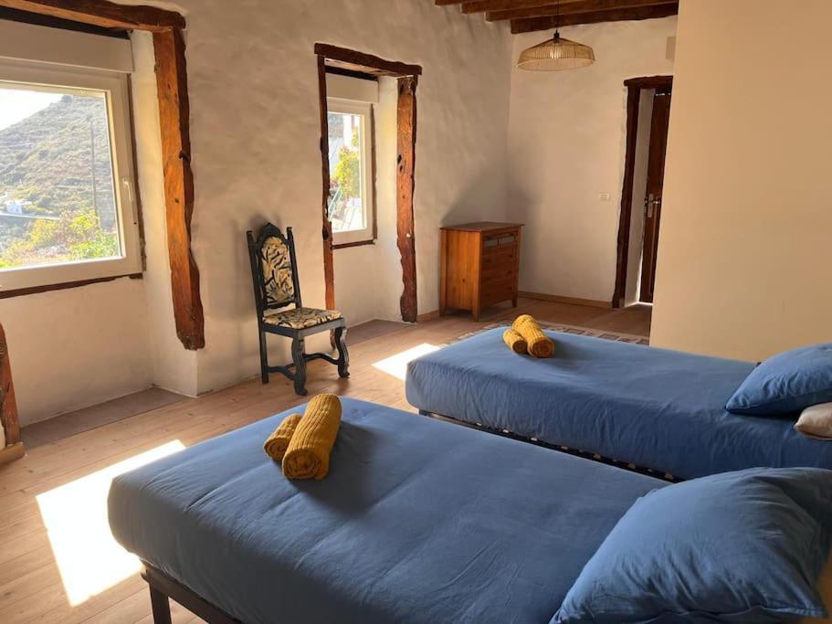 La Casa Del Aguacate Βίλα Sabinosa Εξωτερικό φωτογραφία